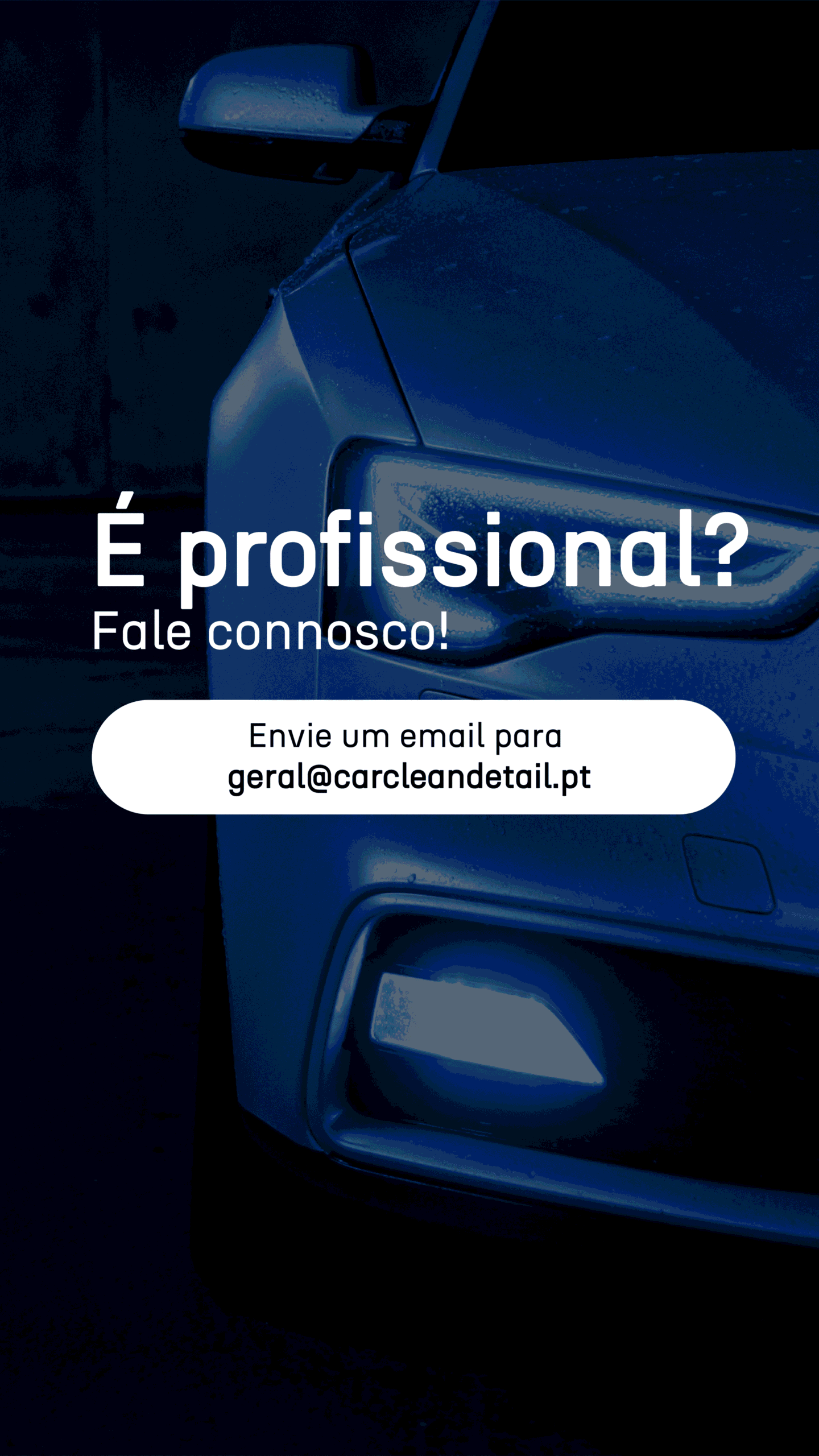 PROFISSIONAL